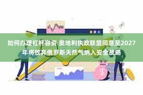 如何办理杠杆容资 奥地利执政联盟同意至2027年将放弃俄罗斯天然气纳入安全战略
