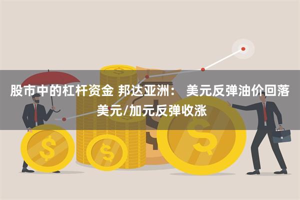 股市中的杠杆资金 邦达亚洲： 美元反弹油价回落 美元/加元反弹收涨