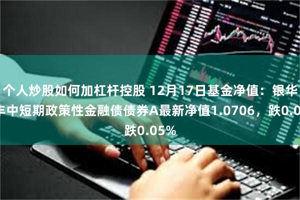 个人炒股如何加杠杆控股 12月17日基金净值：银华安丰中短期政策性金融债债券A最新净值1.0706，跌0.05%