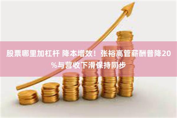股票哪里加杠杆 降本增效！张裕高管薪酬普降20%与营收下滑保持同步