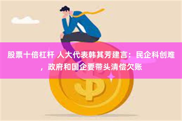 股票十倍杠杆 人大代表韩其芳建言：民企科创难，政府和国企要带头清偿欠账