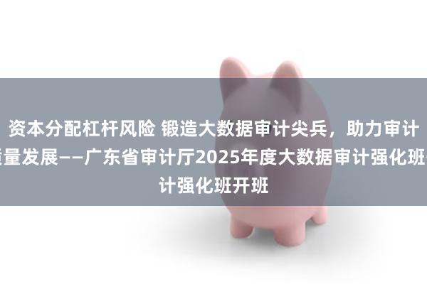 资本分配杠杆风险 锻造大数据审计尖兵，助力审计高质量发展——广东省审计厅2025年度大数据审计强化班开班