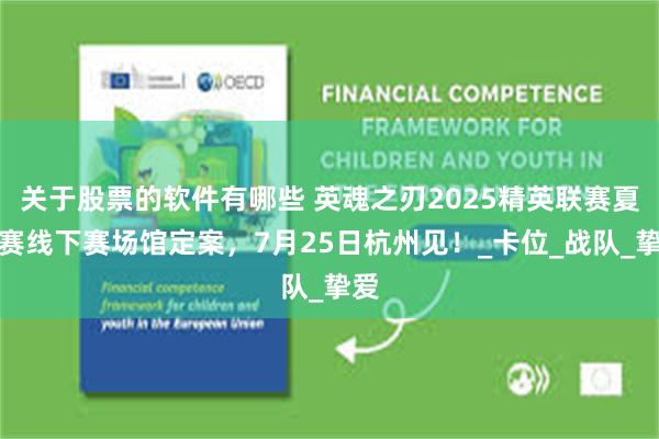 关于股票的软件有哪些 英魂之刃2025精英联赛夏季赛线下赛场馆定案，7月25日杭州见！_卡位_战队_挚爱