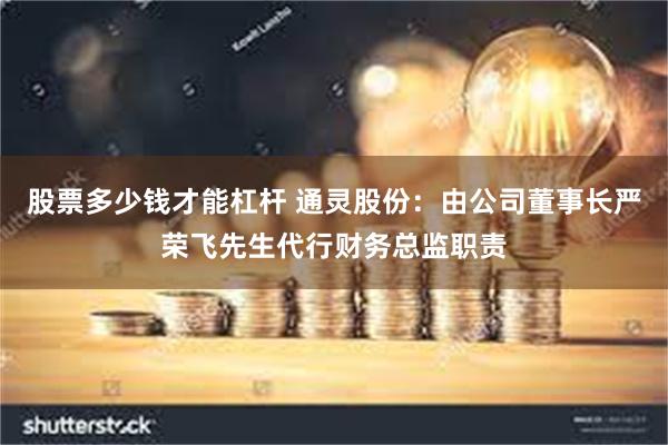 股票多少钱才能杠杆 通灵股份：由公司董事长严荣飞先生代行财务总监职责