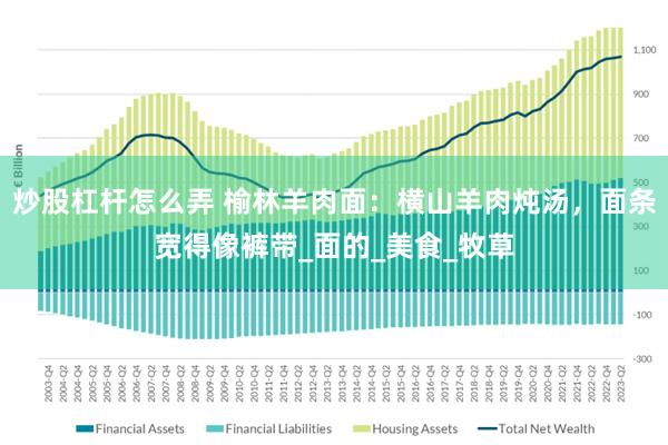 炒股杠杆怎么弄 榆林羊肉面：横山羊肉炖汤，面条宽得像裤带_面的_美食_牧草